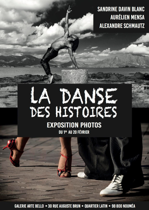 Affiche, la danse des histoires Affiche, la danse des histoires