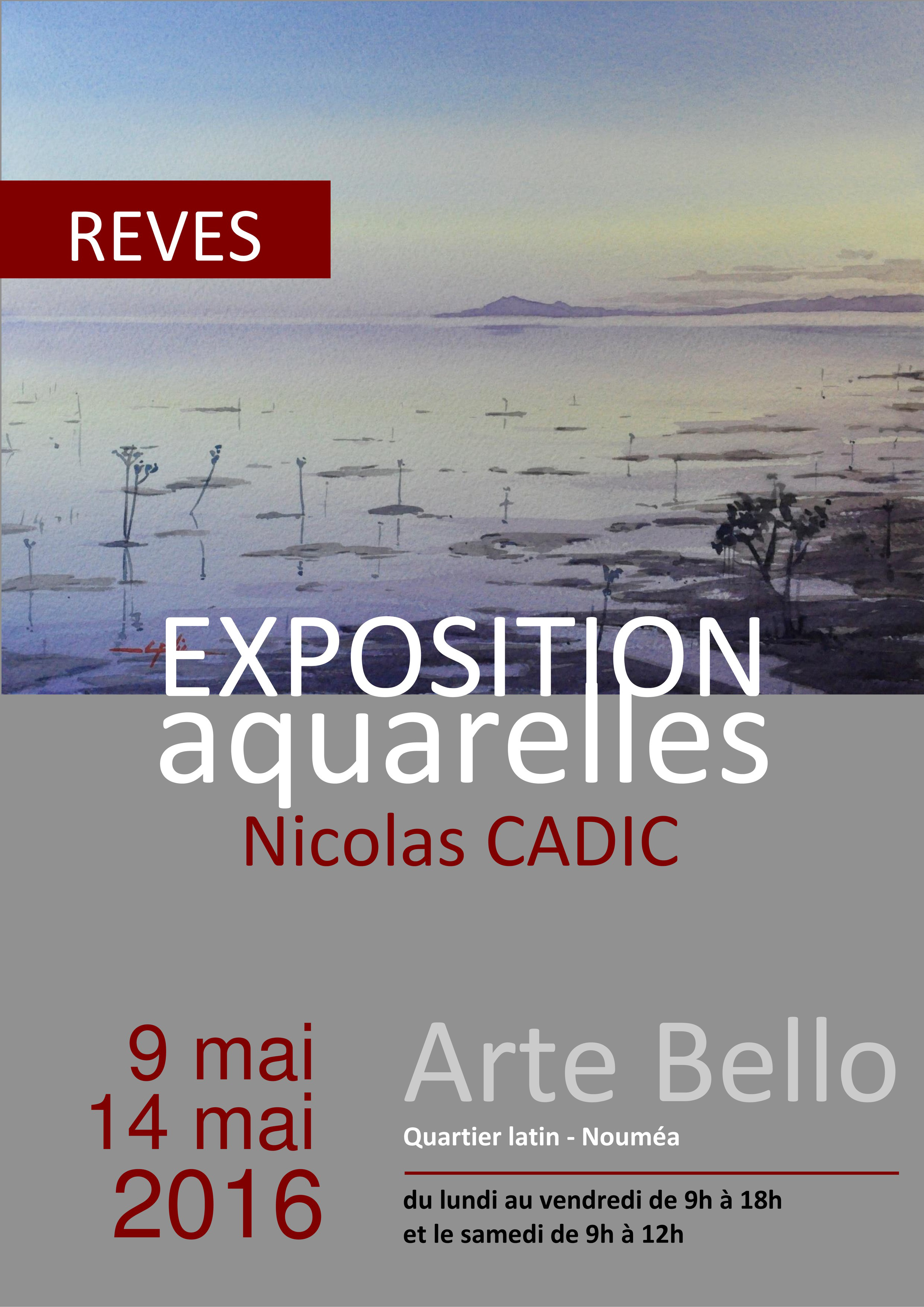 Nicolas Cadic, affiche Nicolas Cadic, affiche